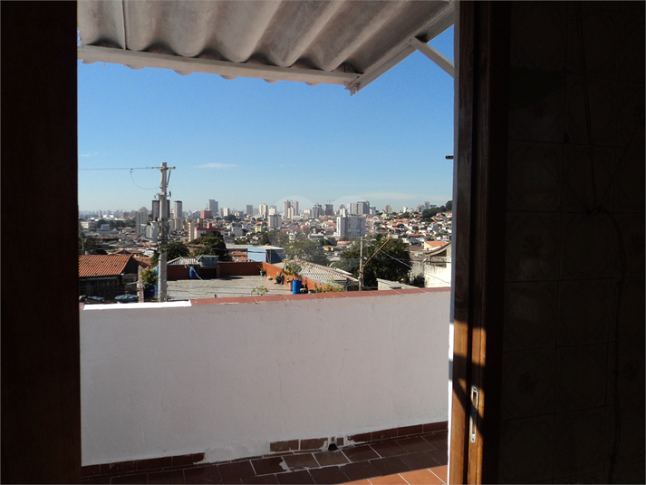 Foto REO498283