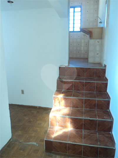 Foto REO498283