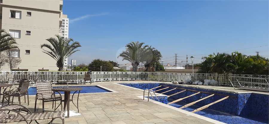 Foto REO499037