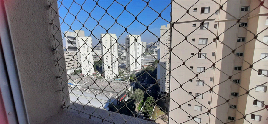 Foto REO499037