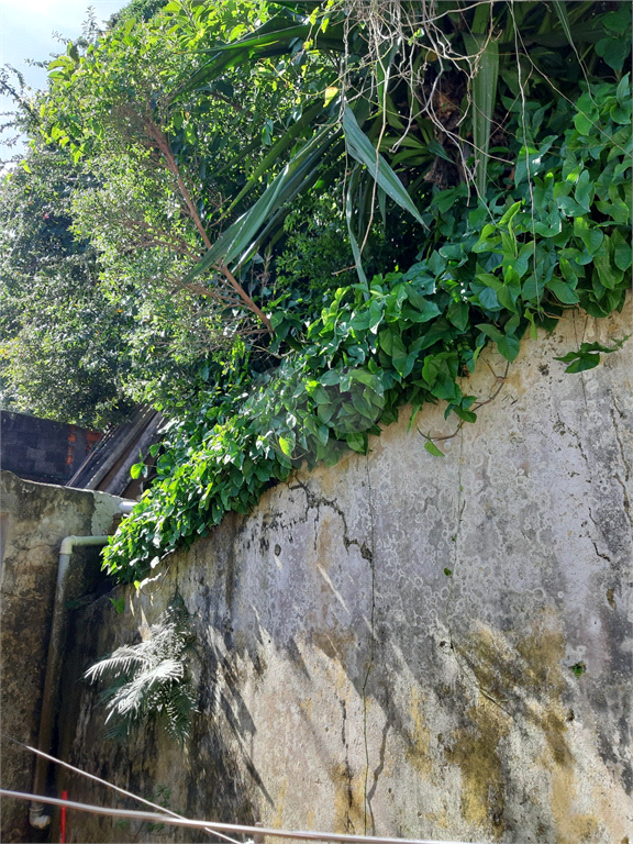 Venda Terreno São Paulo Vila Irmãos Arnoni REO499060 12