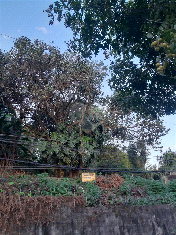 Venda Terreno São Paulo Vila Irmãos Arnoni REO499060 3