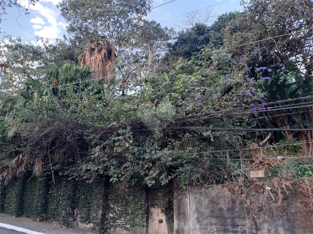 Venda Terreno São Paulo Vila Irmãos Arnoni REO499060 8