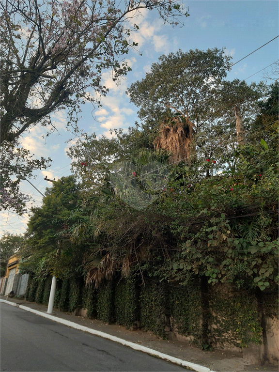 Venda Terreno São Paulo Vila Irmãos Arnoni REO499060 2