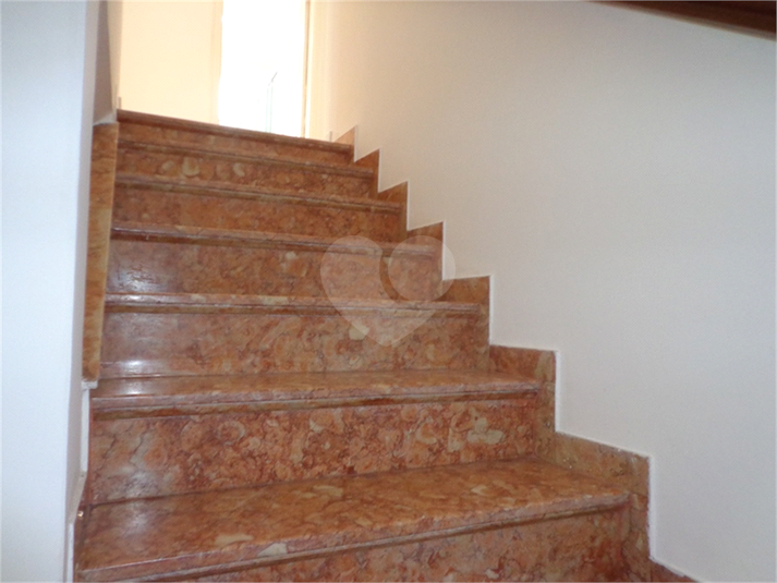 Foto REO499161