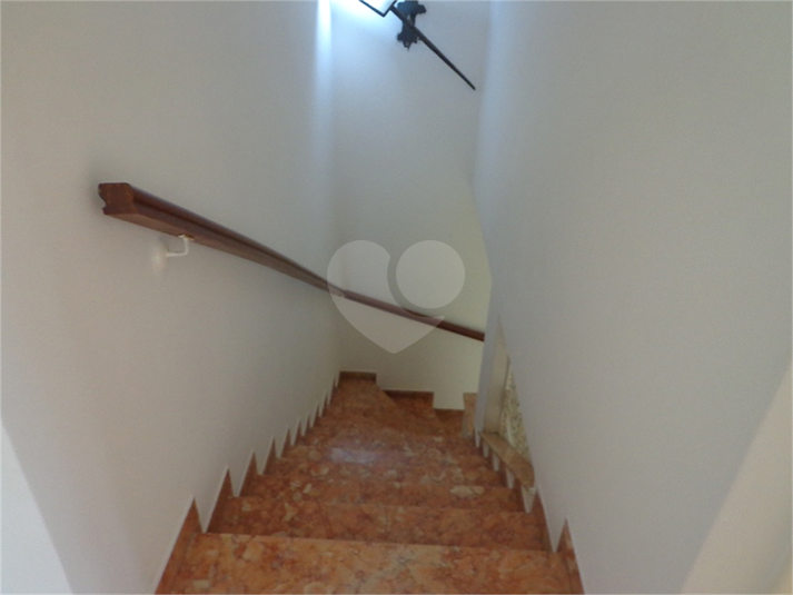 Foto REO499161