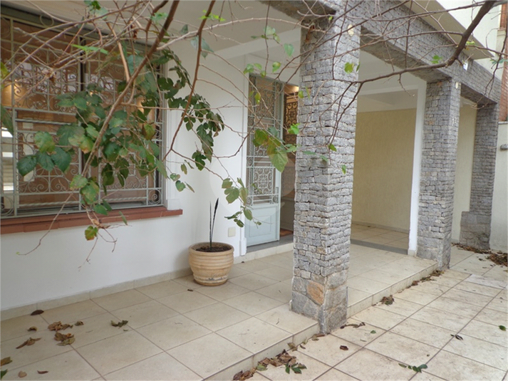 Foto REO499161