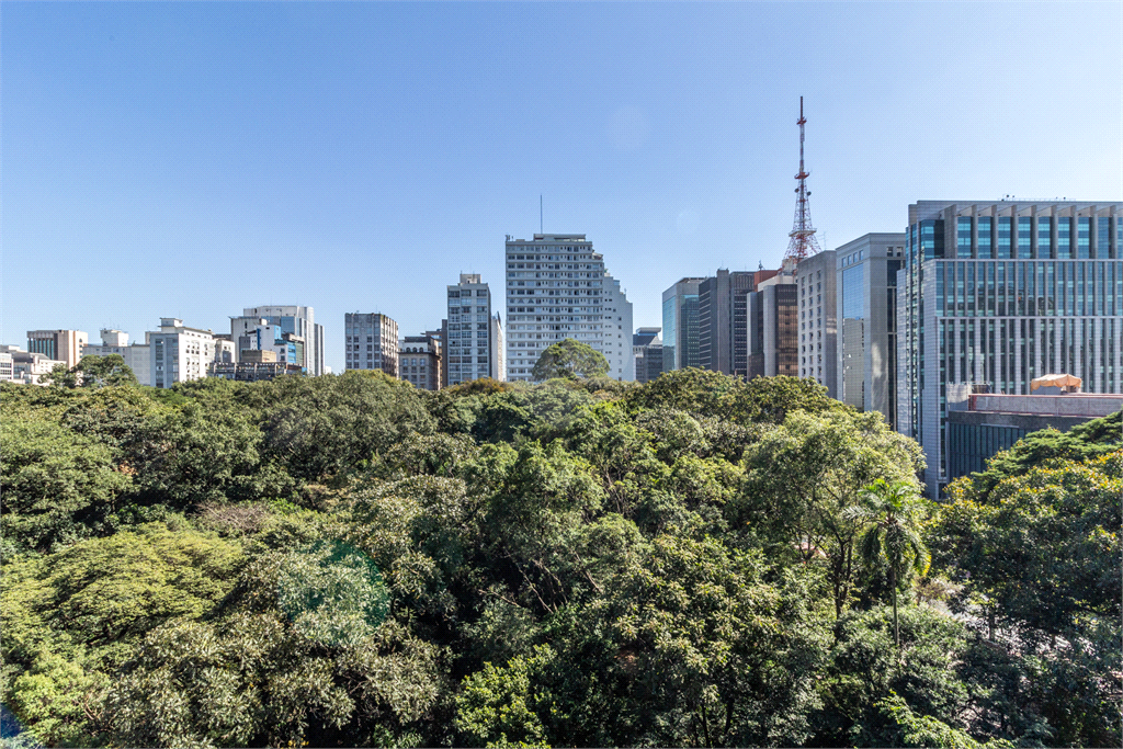 Venda Loja São Paulo Bela Vista REO499199 8