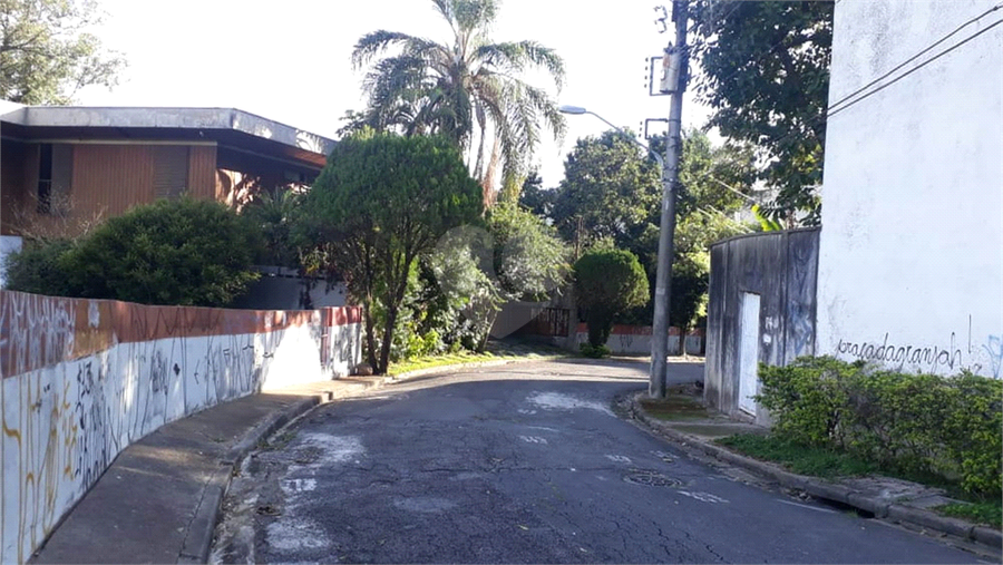 Foto REO499490