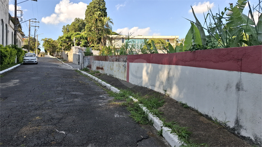 Foto REO499490