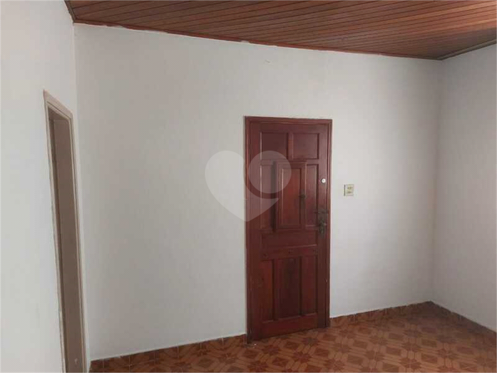 Foto REO499855