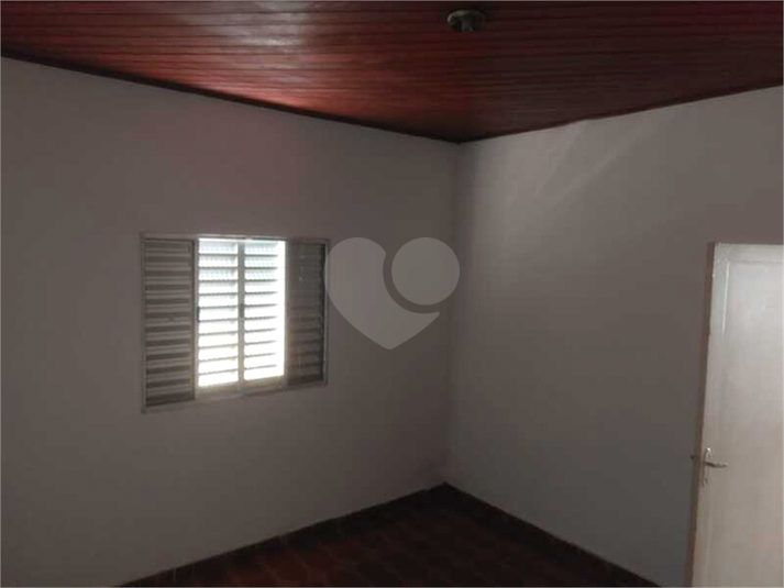Foto REO499855