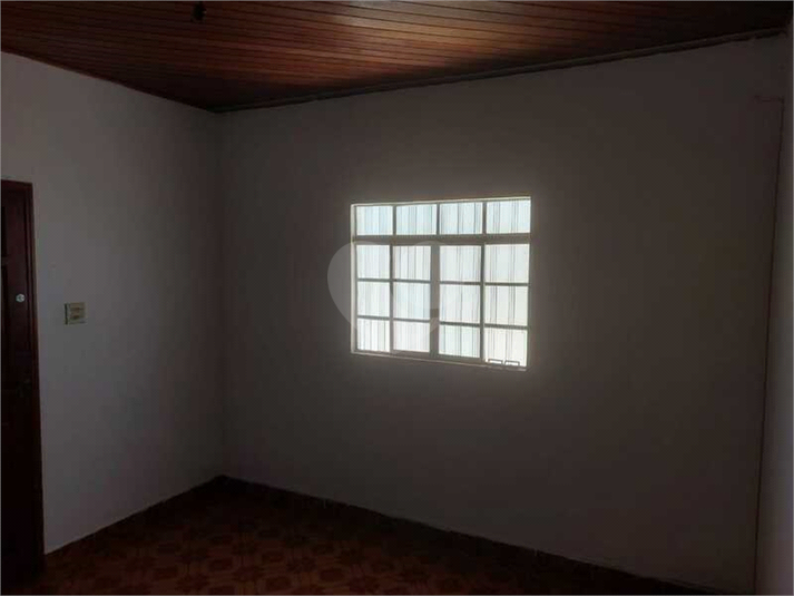 Foto REO499855