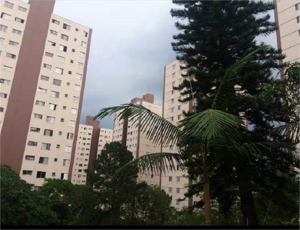 Venda Apartamento São Paulo Jardim Peri REO499880 16