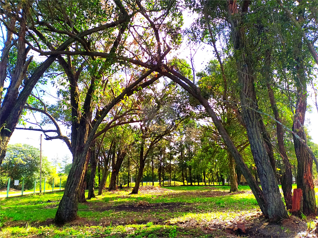 Venda Terreno Eldorado Do Sul Parque Eldorado REO500464 2