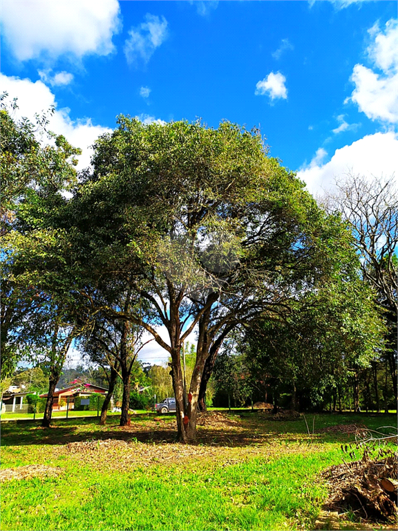 Venda Terreno Eldorado Do Sul Parque Eldorado REO500464 10