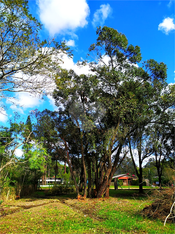 Venda Terreno Eldorado Do Sul Parque Eldorado REO500464 13