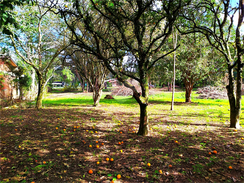 Venda Terreno Eldorado Do Sul Parque Eldorado REO500464 11