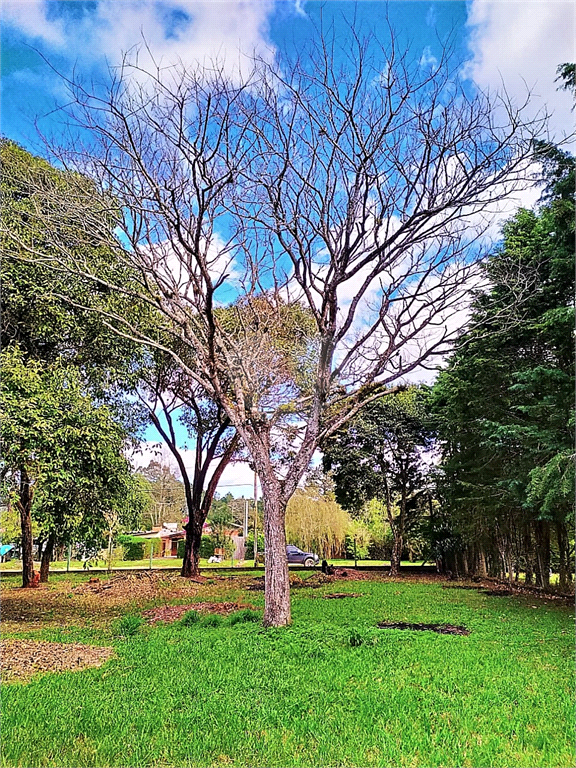 Venda Terreno Eldorado Do Sul Parque Eldorado REO500464 9