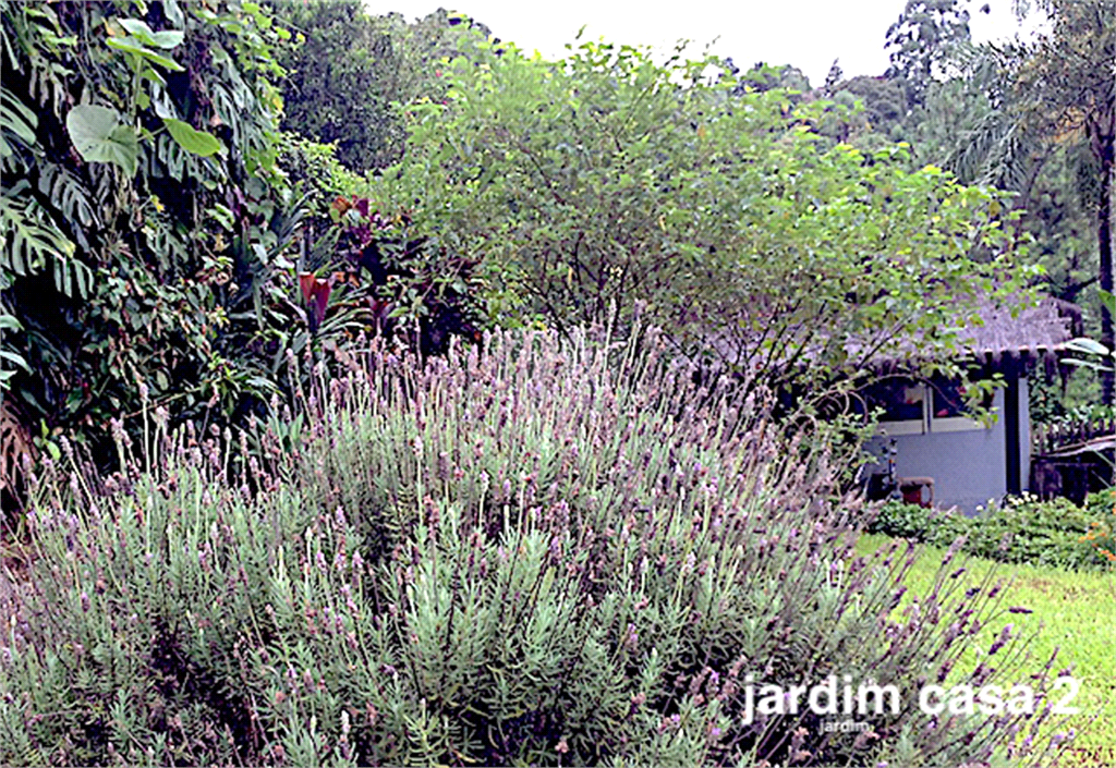 Venda Casa Mairiporã Serra Da Cantareira REO503421 16