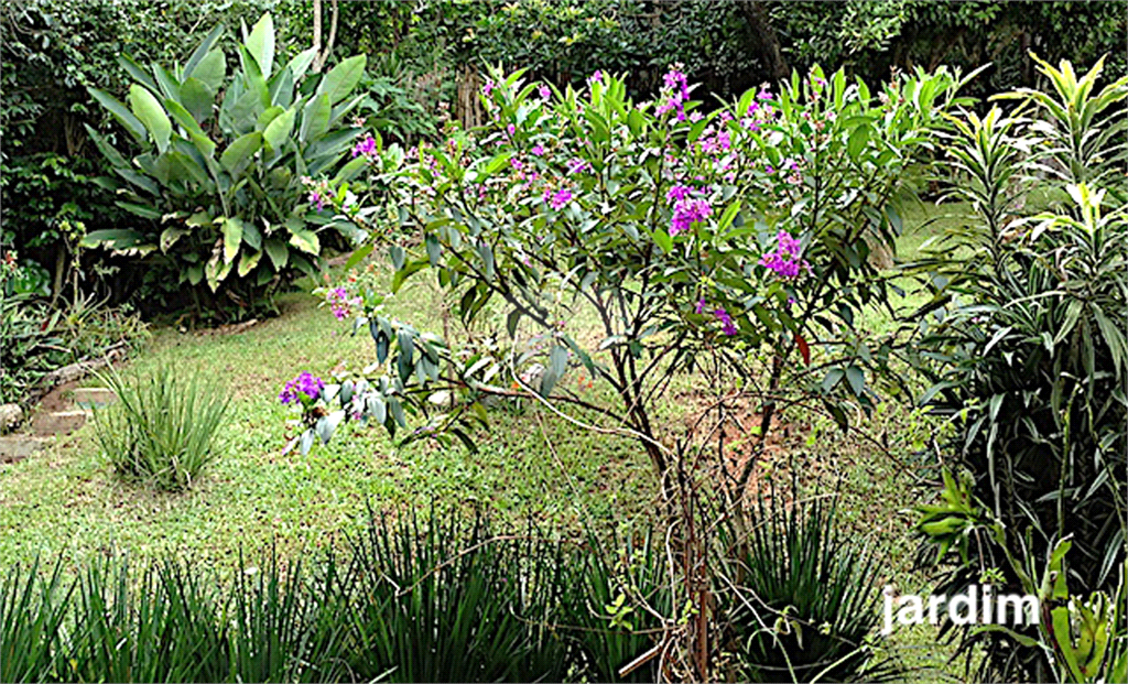 Venda Casa Mairiporã Serra Da Cantareira REO503421 10