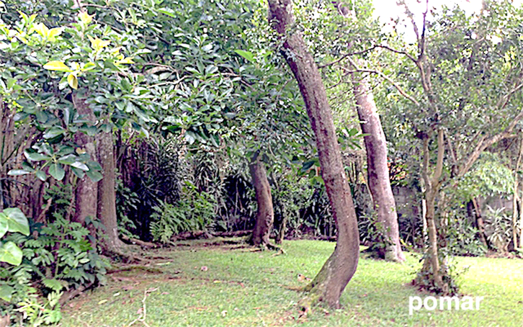 Venda Casa Mairiporã Serra Da Cantareira REO503421 22