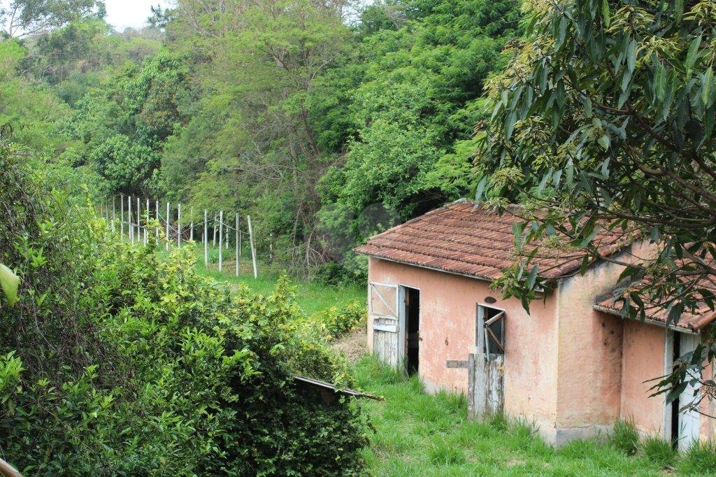 Venda Terreno Carapicuíba Vila Helemar REO50422 22