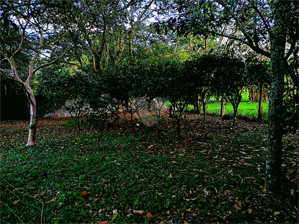 Venda Sítio Eldorado Do Sul Parque Eldorado REO504534 27