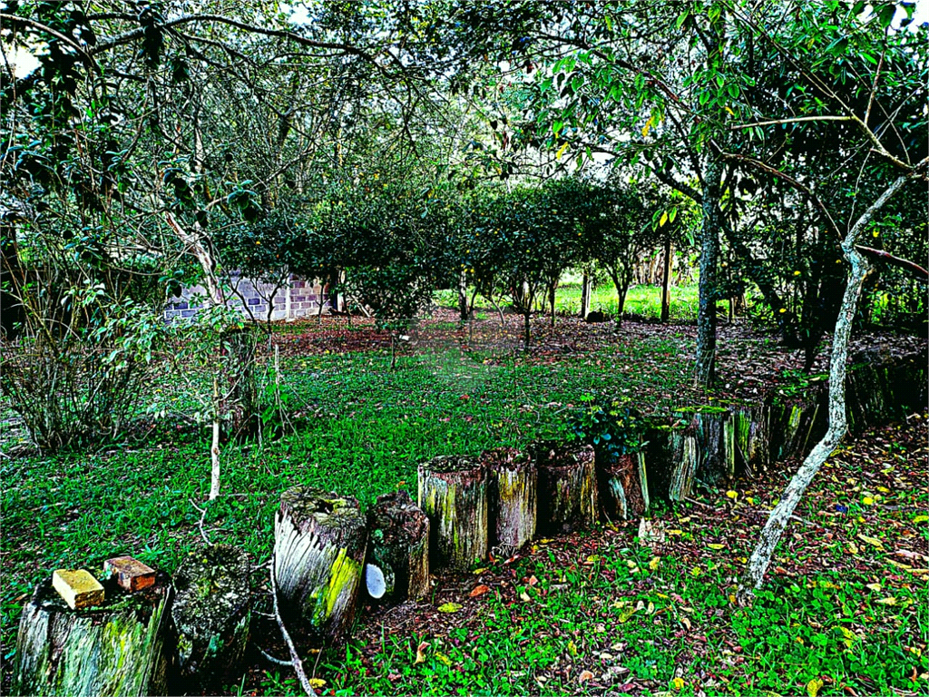 Venda Sítio Eldorado Do Sul Parque Eldorado REO504534 28