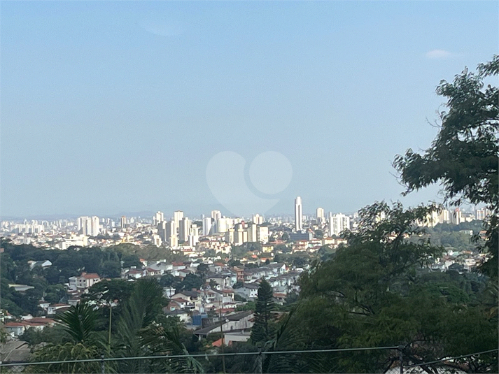 Foto REO50539