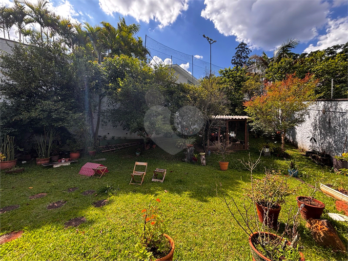 Foto REO50539
