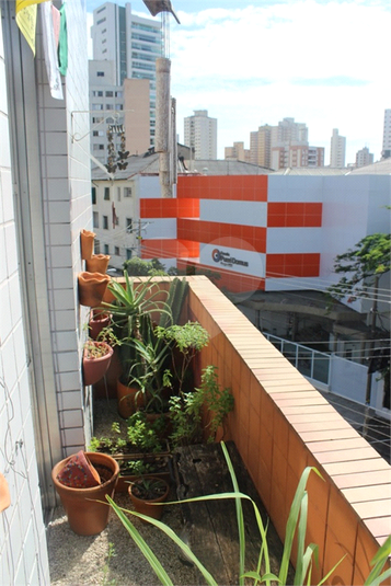 Foto REO505898