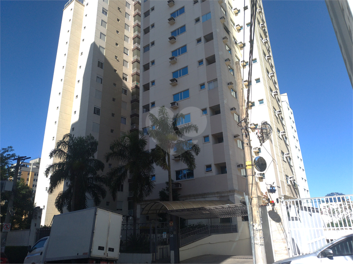 Foto REO506163