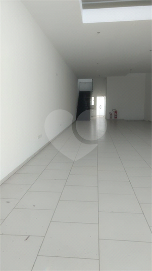 Foto REO506229
