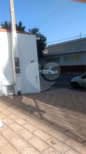 Foto REO506229