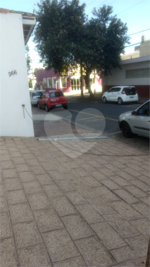 Foto REO506229