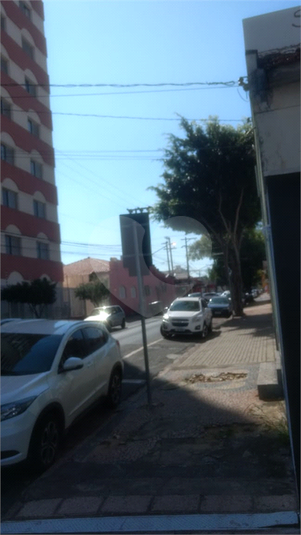 Foto REO506229