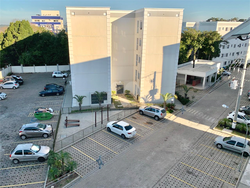 Venda Apartamento Gravataí Passo Das Pedras REO506259 14