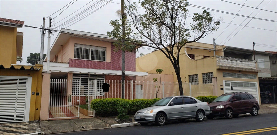 Foto REO506357