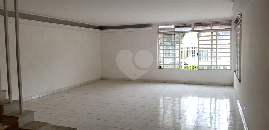 Foto REO506357