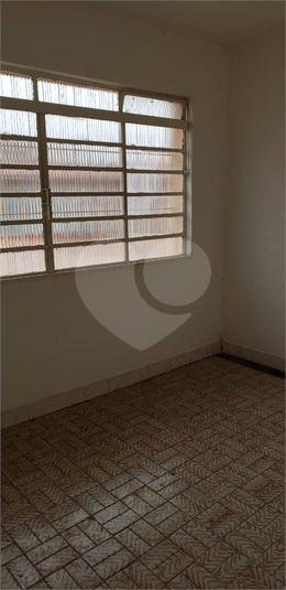 Foto REO506357