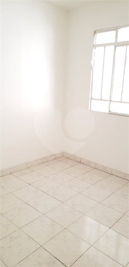 Foto REO506357