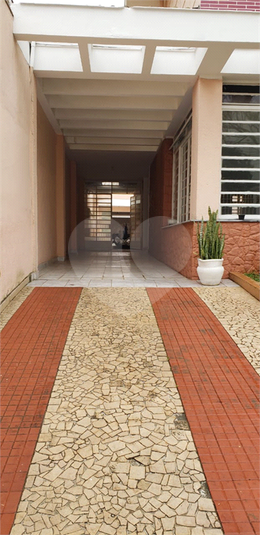 Foto REO506357