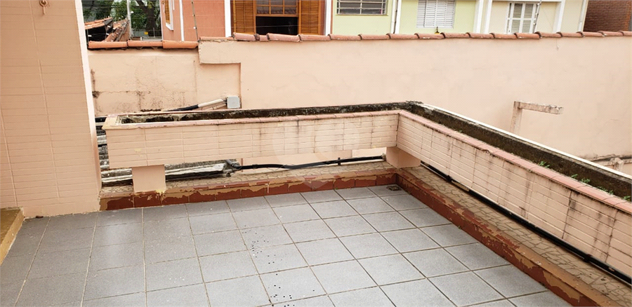 Foto REO506357