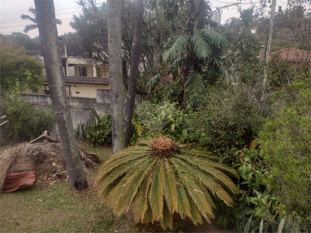 Venda Casa São Paulo Vila Albertina REO506465 56