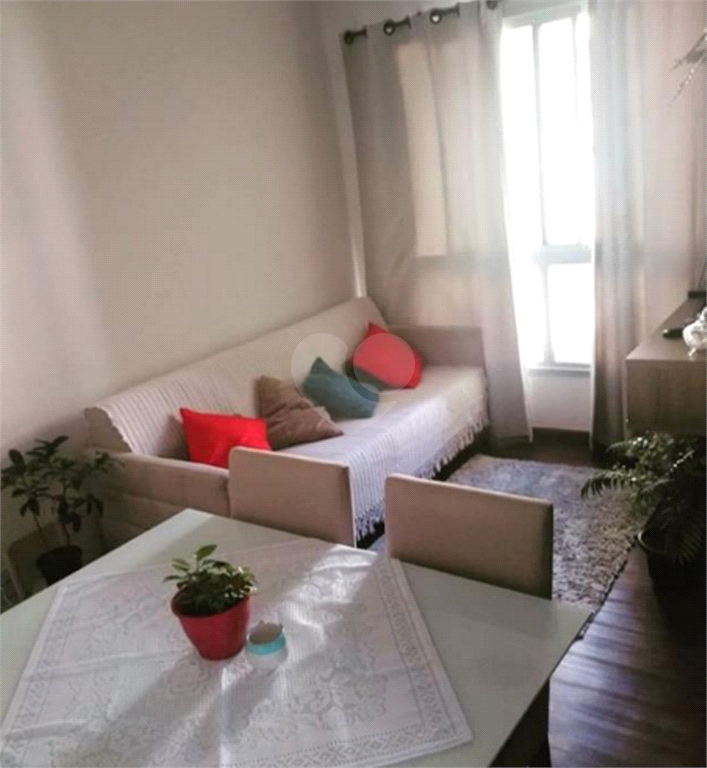 Venda Apartamento São Paulo Vila Cruz Das Almas REO506665 2