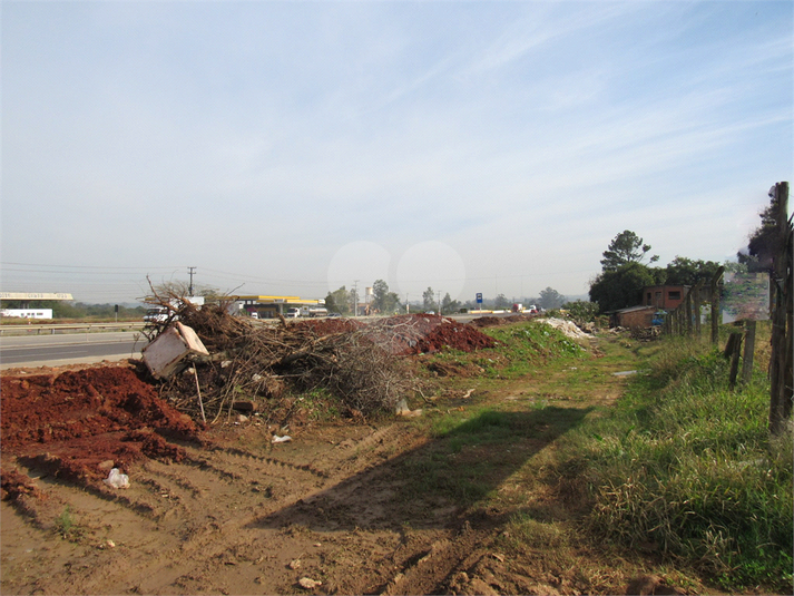 Venda Terreno Cachoeirinha Jardim Betânia REO507465 7