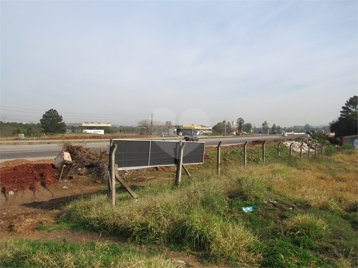 Venda Terreno Cachoeirinha Jardim Betânia REO507465 5