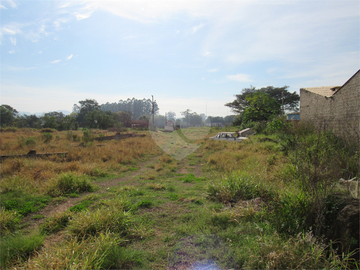 Venda Terreno Cachoeirinha Jardim Betânia REO507465 6