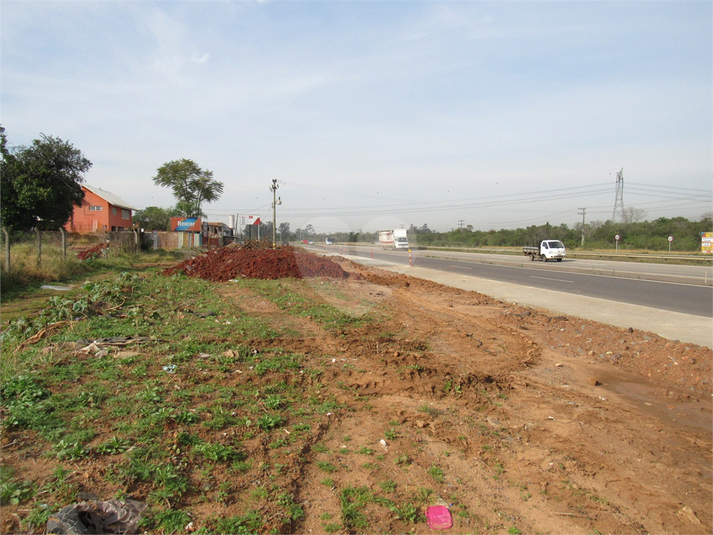 Venda Terreno Cachoeirinha Jardim Betânia REO507465 20